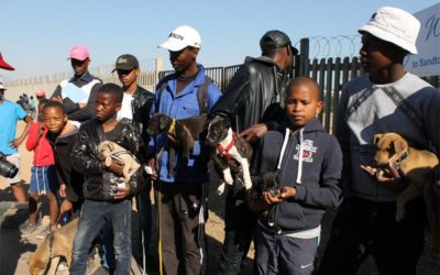 Taking on Kilimanjaro for Sandton SPCA