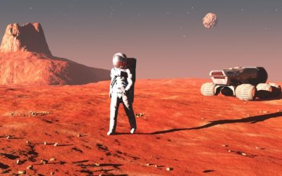 5 South Africans through to round 3 of kamikaze Mars mission